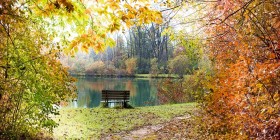 Autumn walks